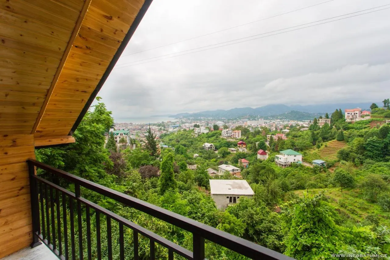 Panorama Batumgora Villa Georgia