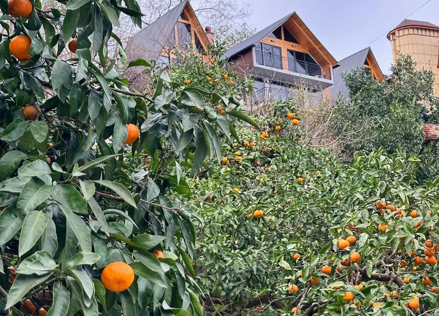 Panorama Batumgora Villa Holiday home Batumi