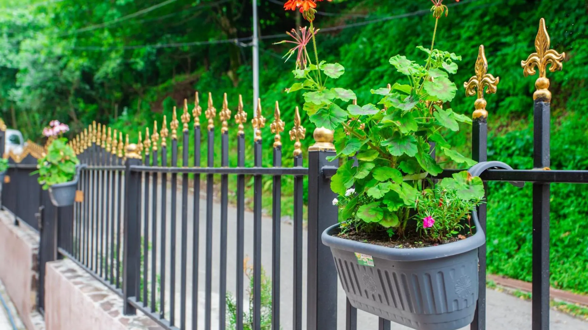 Panorama Batumgora Villa Holiday home Batumi